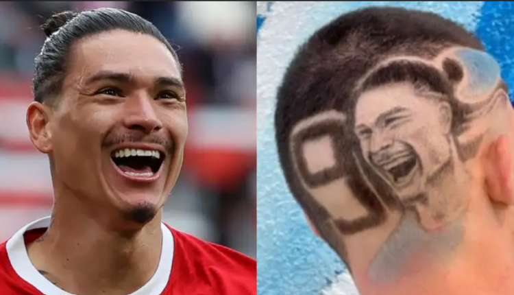 Darwin Nunez Shares Photo of Fan Who Had Image of Liverpool Star's Face Shaved into the Back of His Head!
