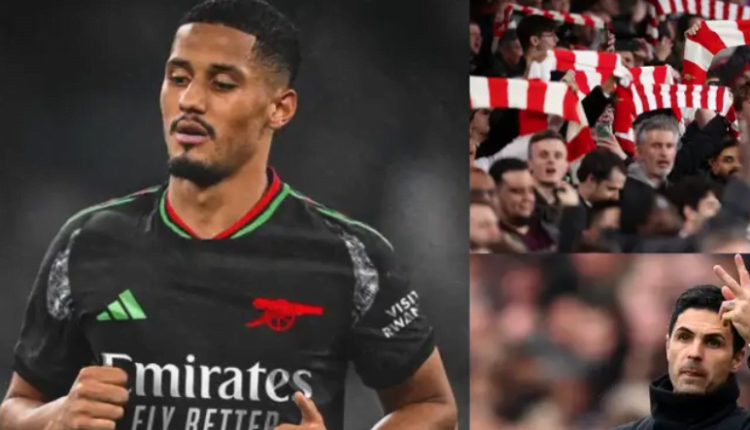 'F*cking awful' - Arsenal fans lose their minds over supposed new 'Lynx Africa' adidas away kit as social media 'leaks' also reveal a divisive home jersey design for 2024-25