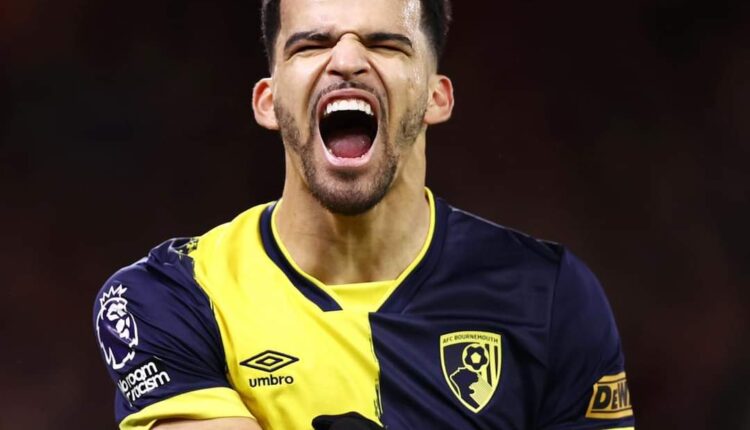 Tottenham in Advanced Talks to Sign Dominic Solanke from Bournemouth