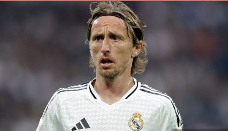 Bjelica Hopes for Modric's Return to Dinamo Zagreb