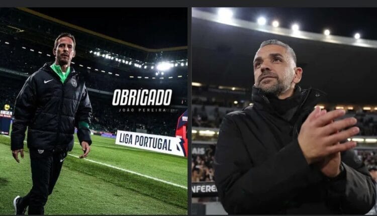 Sporting CP Sack João Pereira, Appoint Rui Borges as New Head Coach