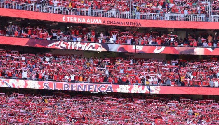 Benfica already has a pre-season game scheduled